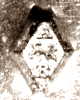 Basset Antonin Basset Antonin