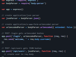 body-parser Screenshot 1