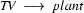 \textit{TV}\ \longrightarrow\ plant