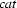 cat