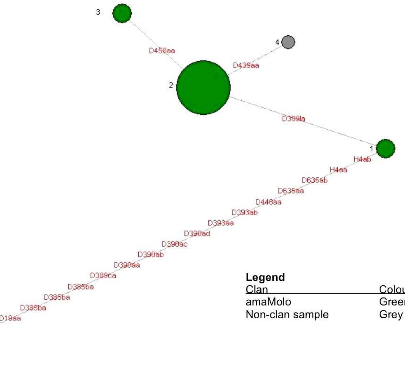 relationship with the modal haplotype Riai1a_2 are shown in Figure 3.2 below.  Acknowledging that matches to haplotypes are only as good as the data within datasets and not representative of all Y chromosomes haplotypes found globally, these data do support a non-African origin of Y chromosome haplotypes in the amaMolo. Two distinct Eurasian haplogroups, namely haplogroup Riata (R-M198) and haplogroup Q (Q-M242), were observed within the amaMolo clan genealogy which spans 11 generations [Table 3.2(a) and Appendix C, (Figure S1)]. Five haplotypes are associated with haplogroup R1ata (R-M198) (Table 3.2(a)) and their relationship with the modal haplotype Riai1a_2 are shown in Figure 3.2 below. 