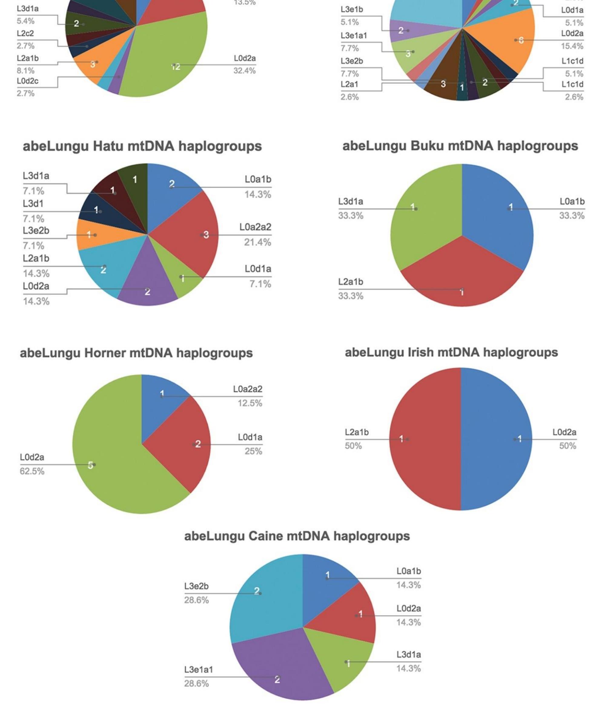 Figure 3.9. Distribution of mtDNA haplogroups by clan  abeLungu Jekwa mtDNA haplogroups 