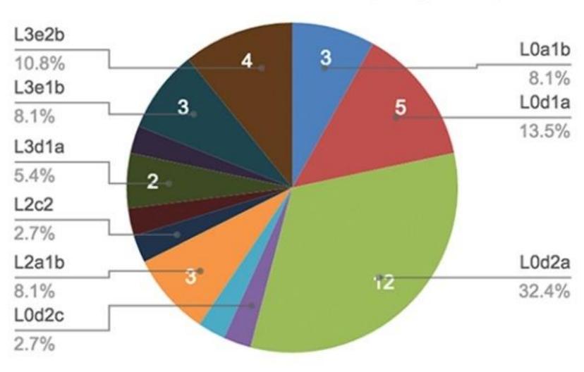 abeLungu Hatu mtDNA haplogroups 