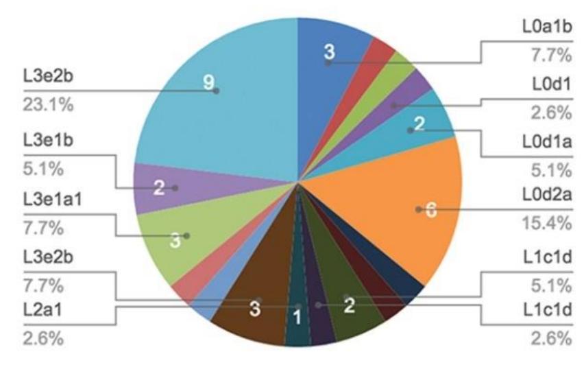 abeLungu Buku mtDNA haplogroups 