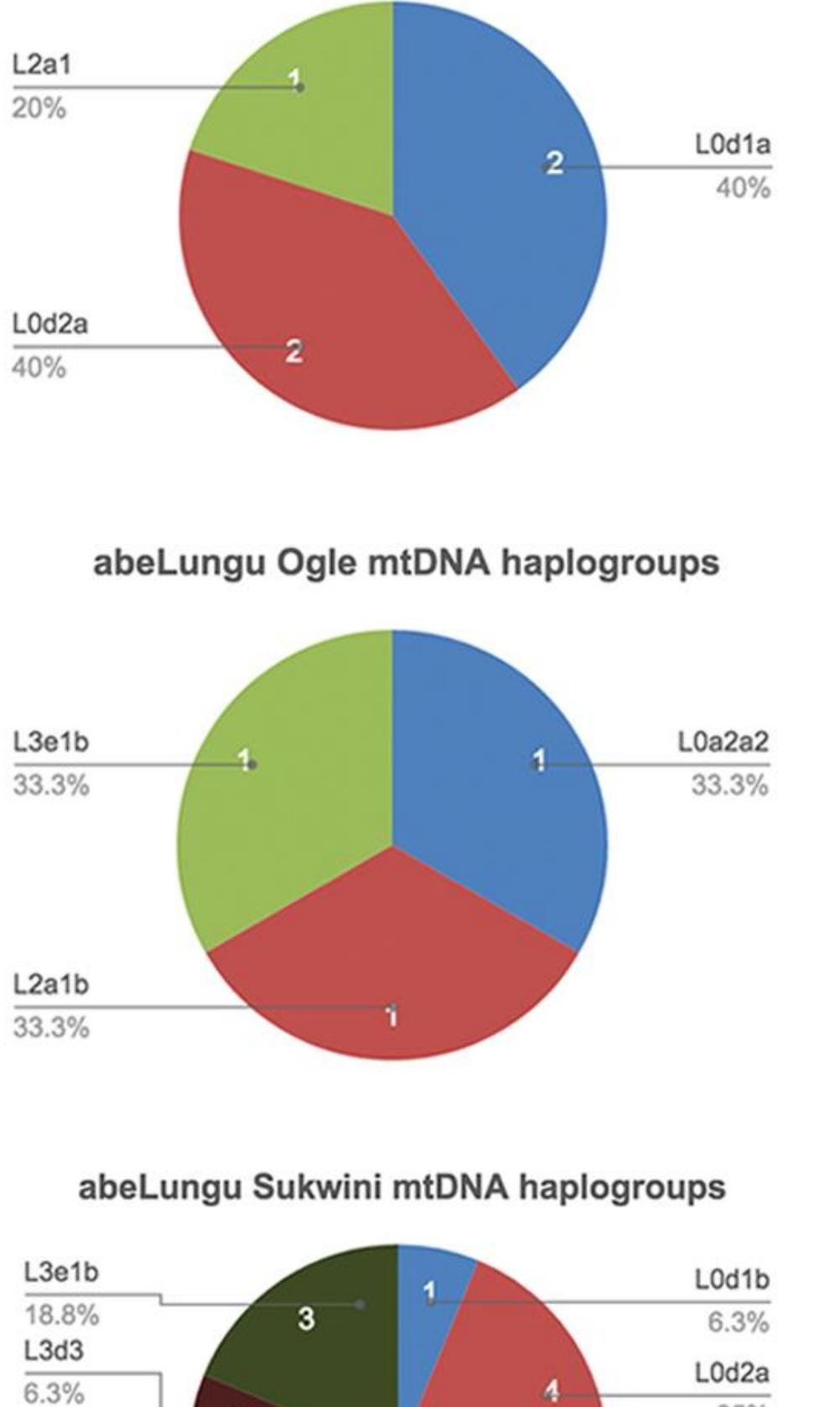 Figure 3.9 continued. Distribution of mtDNA haplogroups by clan 