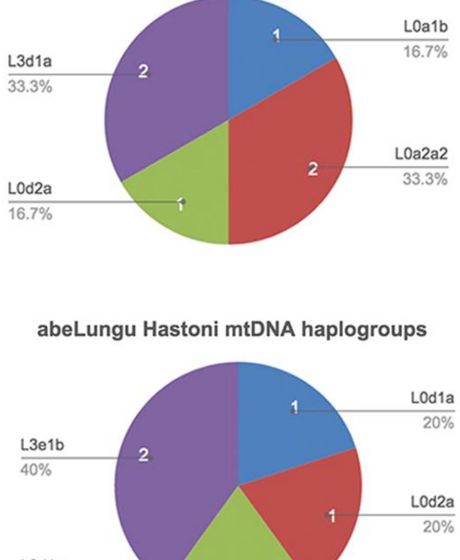 non-clan affiliated samples mtDNA haplogroups 