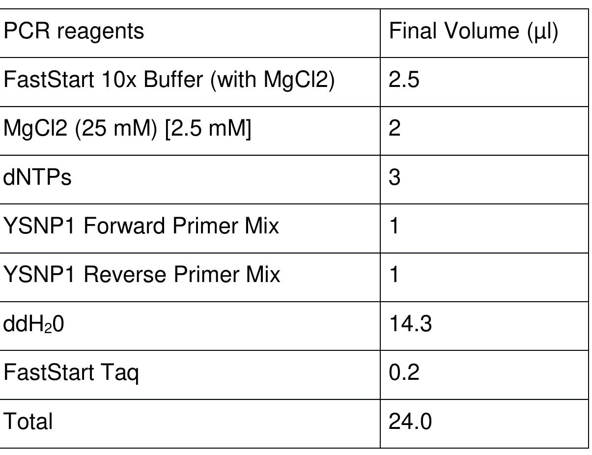 Table 2.3. YSNP1 SBE multiplex PCR reagents 