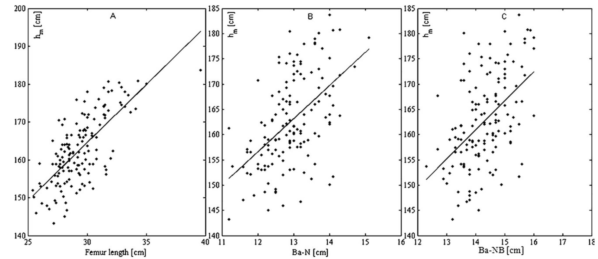 Fig. 4. Plot of height (h,) as a function of the lengths of three bones: (A) femur length; (B) Ba-N distance; (C) Ba-NB distance. 