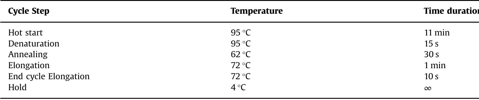 PCR cycling conditions for amplification of three hypervariable regions of mitochondrial DNA. 