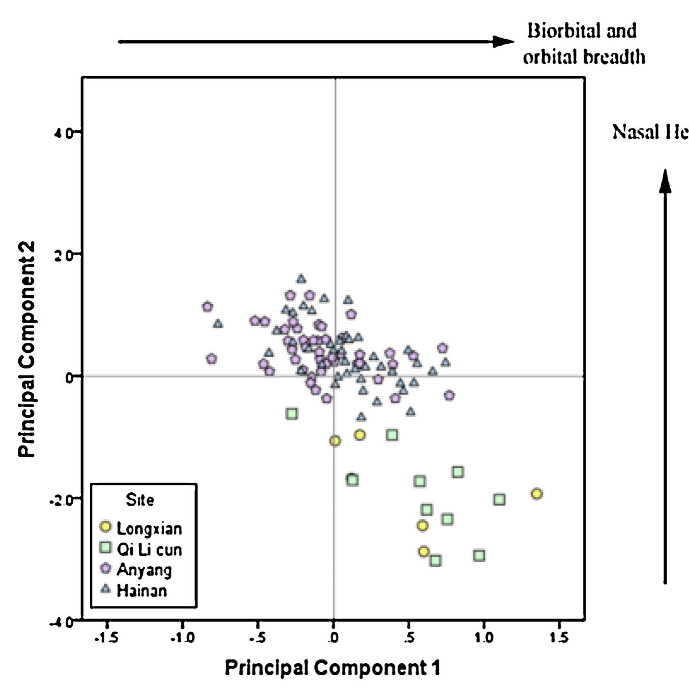 V.E. Gibbon et al. / HOMO - Journal of Comparative Human Biology 67 (2016) 369-383  Fig. 4. Principal components analysis of male cranial measurements of factors 1 and 2 on Longxian, Qi Li Cun, Anyang and Hainan samples. 