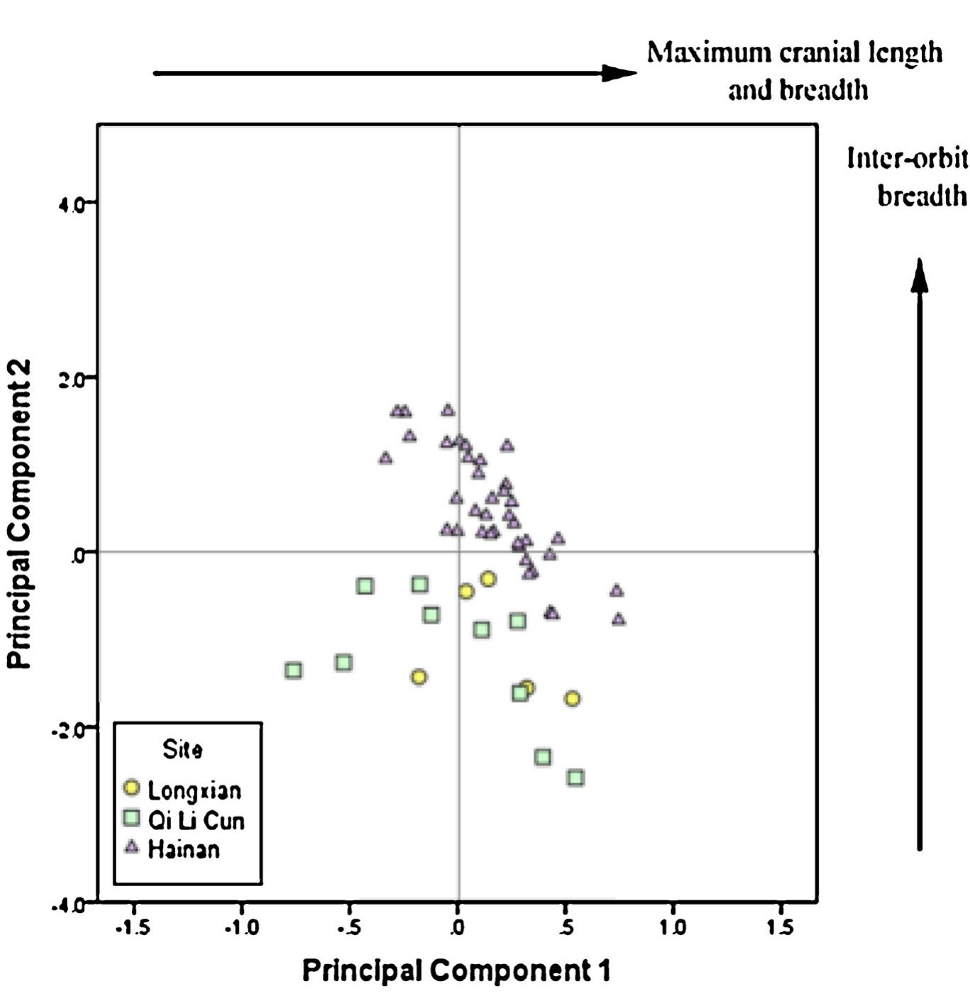 Fig. 5. Principal components analysis of female cranial measurements of factors 1 and 2 on Longxian, Qi Li Cun and Hainan samples. 