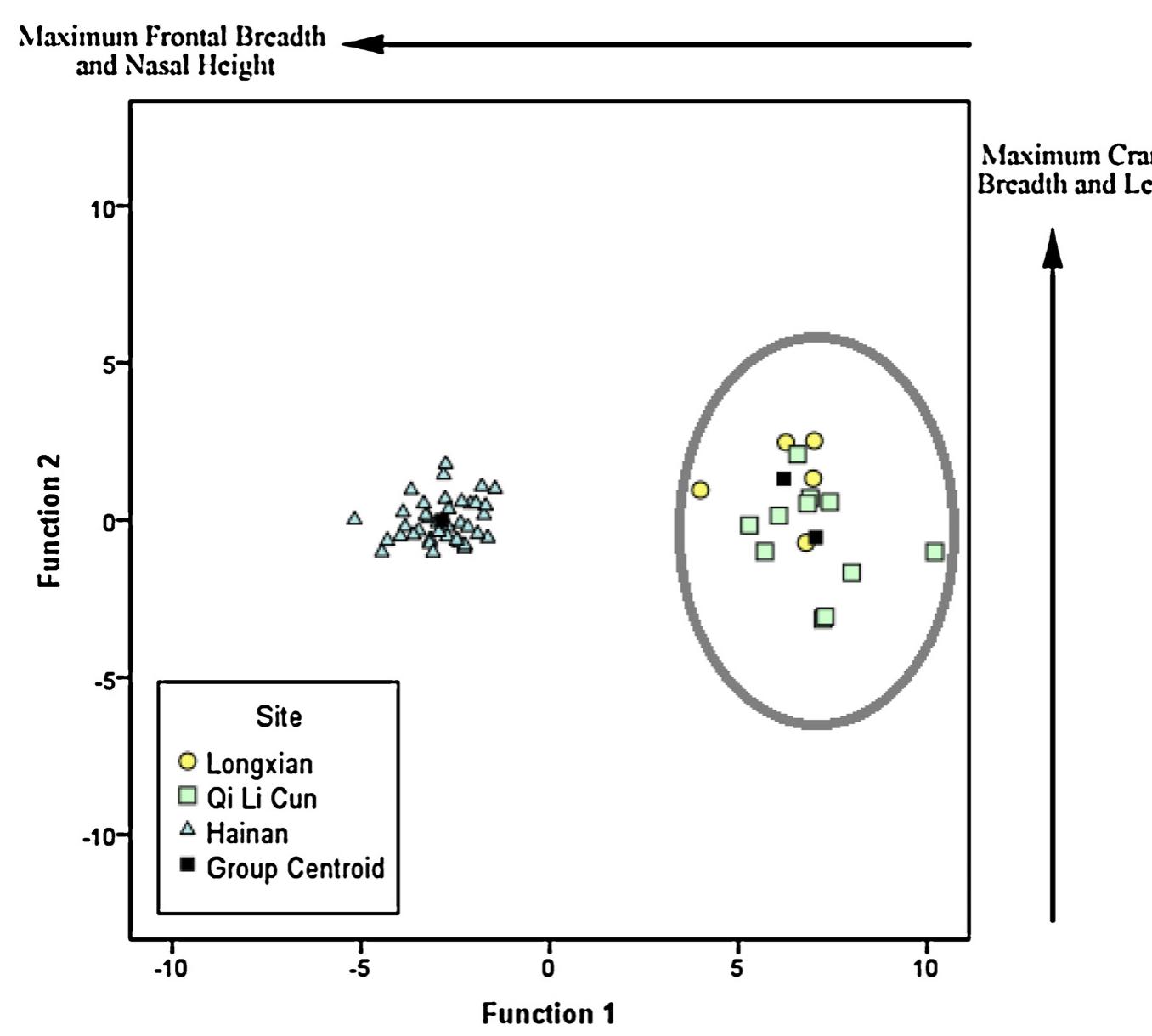 Fig. 7. Female canonical discriminant function analysis showing clustering of Longxian and Qi Li Cun (ellipse) samples separate from the Hainan Chinese sample.  V.E. Gibbon et al. / HOMO - Journal of Comparative Human Biology 67 (2016) 369-383 