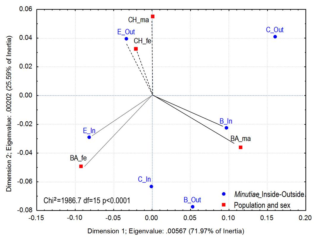 Fig. 6. Analysis of correspondence between the types of minutiae (E: endings, B: bifurcations and C: convergences), areas (I: inside circle and O: outside circle), sex (ma: males and fe: females) and populations (BA: Buenos Aires and CH: Chubut). 