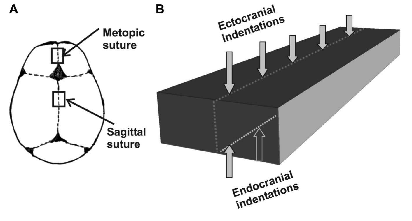 Nanoscopic Imaging and Nanoindentation with Atomic Force Microscopy 