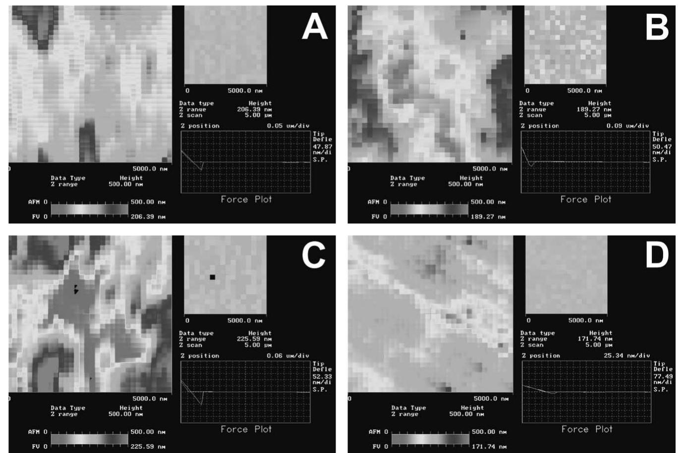 Fig5 Force volume images and force plots of a synostosed sagittal and metopic suture samples. (A) Representative image of endocranial surface of a synostosed sagittal suture. (B) Representative image of ectocranial surface of a synostosed sagittal suture. (C) Representative image of endocranial surface of a synostosed metopic suture. (D) Representative image of ec- tocranial surface of a synostosed metopic suture. In each subfigure, the elastic map in the larger square was height image with colors coded to relative surface elevations, whereas smaller square contained a force-volume image mapping atomic force microscope cantilever tip-sample interactions. Force plot represents tip-sample interaction at a given ___location. In force plot, X-axis represents vertical position of piezostage on which the sample was mounted. Y-axis represents vertical position of cantilever tip relative to a vertical deflection set point. Yellow line represents interaction between cantilever tip and sample. 