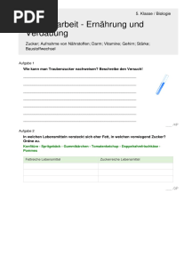 Klassenarbeit - Ernährung Und Verdauung: 5. Klasse / Biologie
