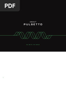 Pulsetto User Manual