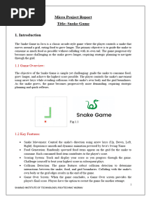 Java-Project-Snake Game