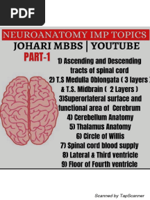 NEUROANATOMY L Johari MBBS (1) - 240503 - 103613