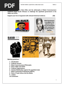 Steve Biko 2024 Essay