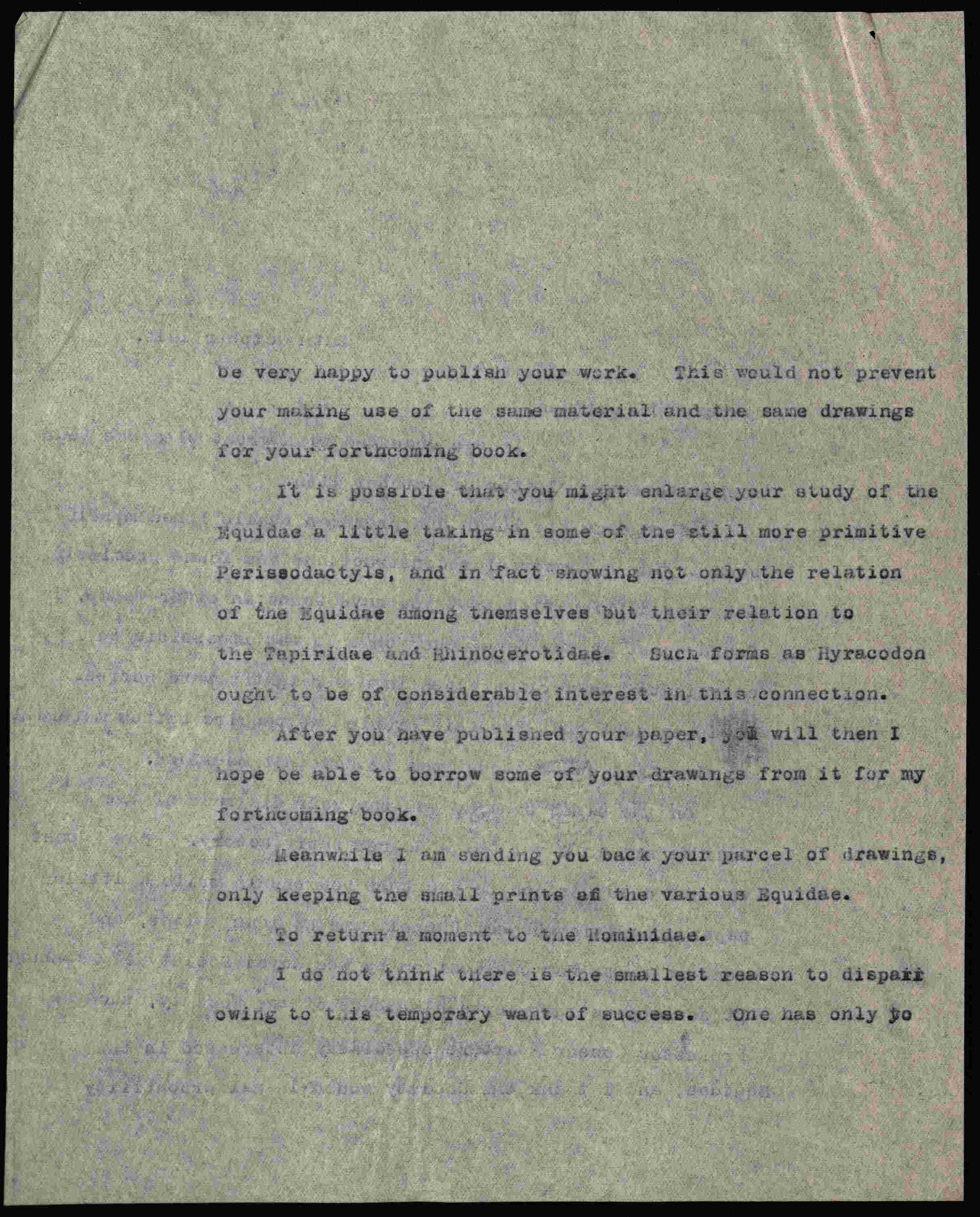 darcy ms19143 2