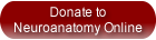 Donate Now