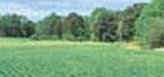 Land Use Explorer