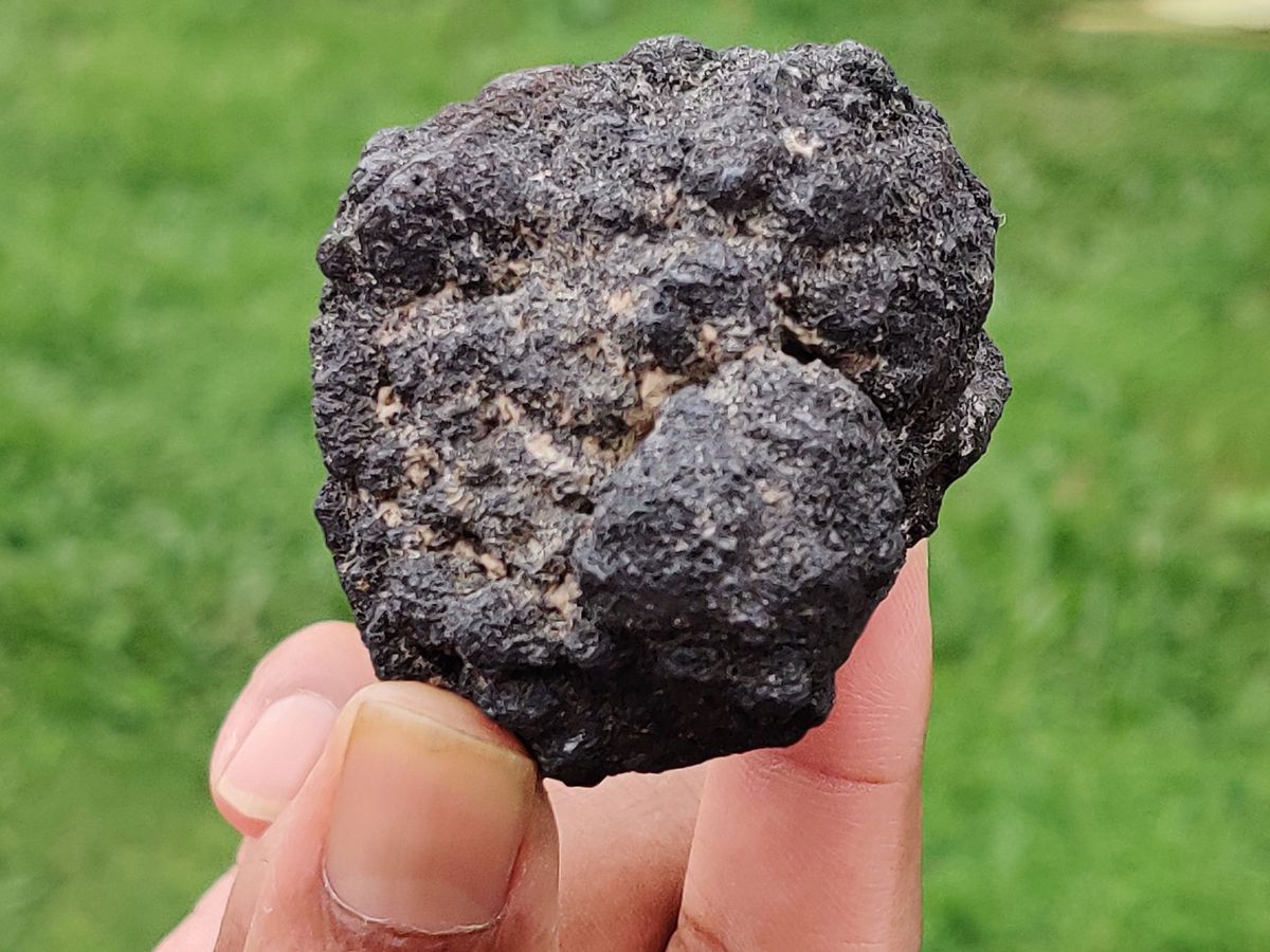 hands holding a black rock against a green background