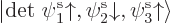 \begin{displaymath}
{\left\vert{\rm det}\;\pe1//u//,\pe2//d//,\pe3//u//\right\rangle}
\end{displaymath}