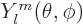 $Y_l^m(\theta,\phi)$