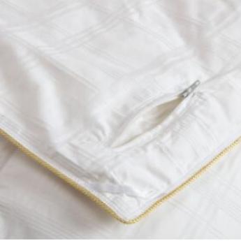 ׽˿Platinum Silk Duvet(Queen size)