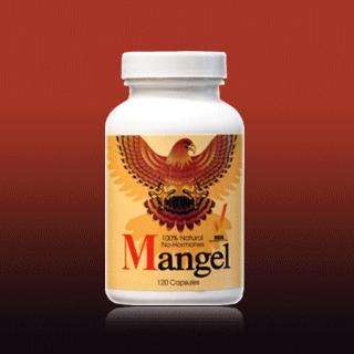 ʿ(Mangel)ܵı