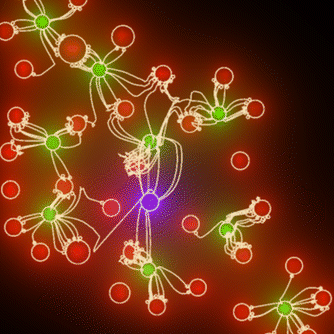 neural net
