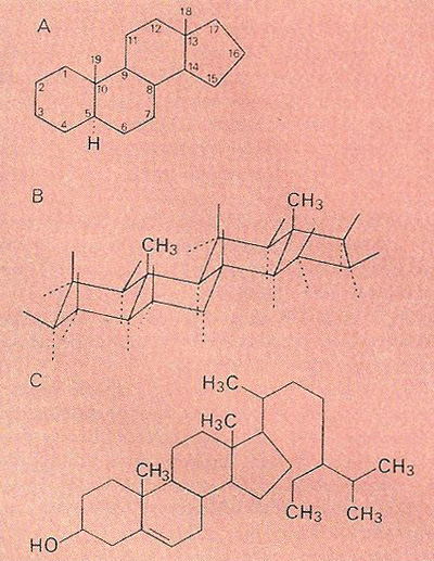 steroids
