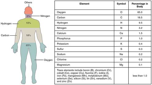 Einsteinium electron shell diagram.