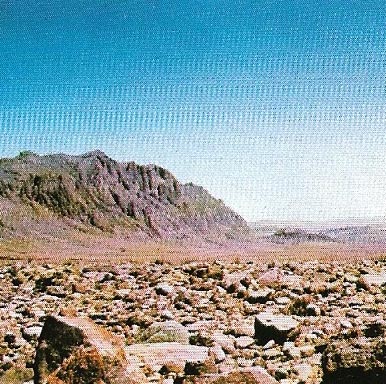 Rocky surface ina desert