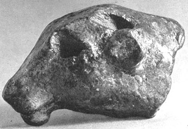 lion head
