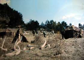 Hunting display