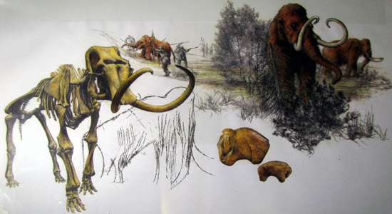 artists impression