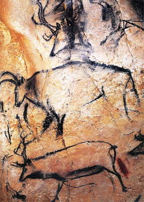 aurochs