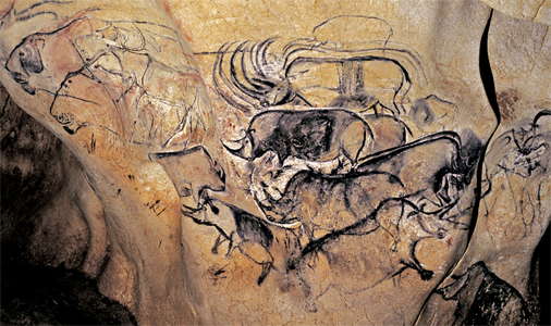 rhinos