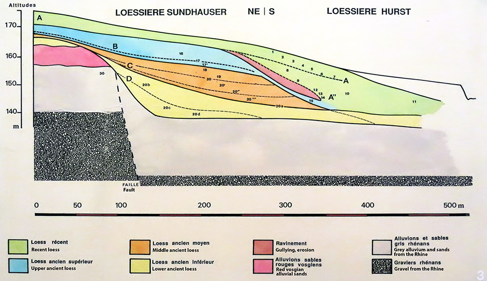 IMG_9472_achenheimstratigraphysm