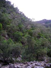 Chandler Gorge