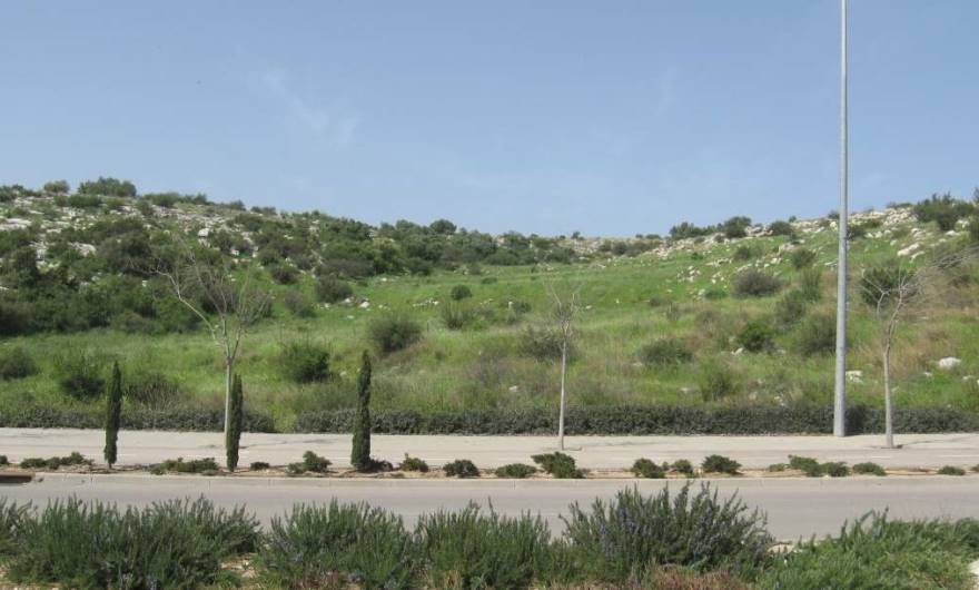 אלבום תמונות: חלק מגבעת שר, ממערב לשד' החשמונאים, מול צומת דרך מנחם בגין                    