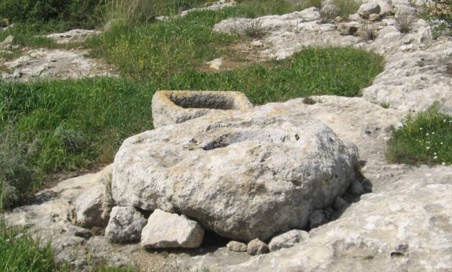 אלבום תמונות: בור מים ושוקת אבן